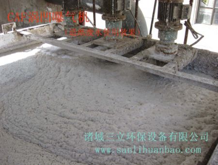 點(diǎn)擊查看詳細(xì)信息<br>標(biāo)題：CAF渦凹?xì)飧C(jī)使用現(xiàn)場(chǎng) 閱讀次數(shù)：13741